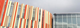 麦考瑞大学